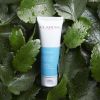 Ruru Hou Refreshing Cream Scrub