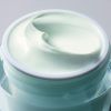 DayWear Moisturizer Tiaki-maha Anti-Oxydant 24H-Moisture Creme SPF 15