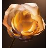 Dior Prestige Le Nectar Pirimia Refill