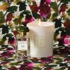 AERIN Cedar Violet Scented Candle