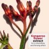 Whakaene Karu Tapeke - I raro i te Pane Whakaene Karu